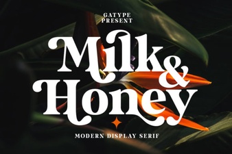 Discover the Milk and Honey Font for Beautiful Designs